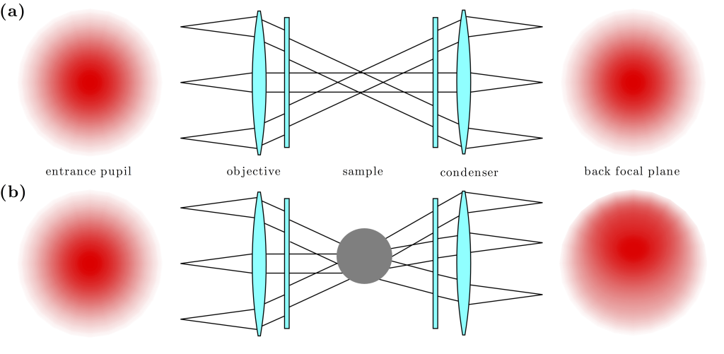 Figure 10.10 — Direct force measurement — Optical Tweezers Principles