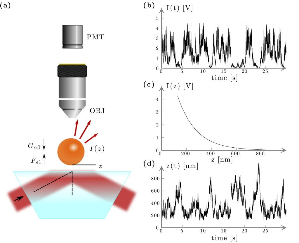 Box 10.1 — Total internal reflection microscopy — Optical Tweezers