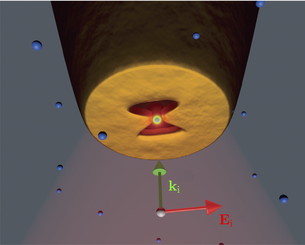 Figure 12.1 — Selfinduced back action optical trap — Optical Tweezers