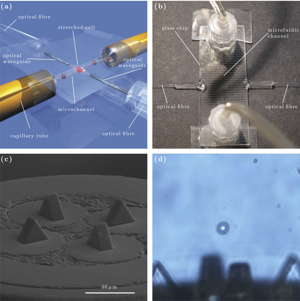 Figure 16.4 — Fibre tweezers integrated into microfluidic devices