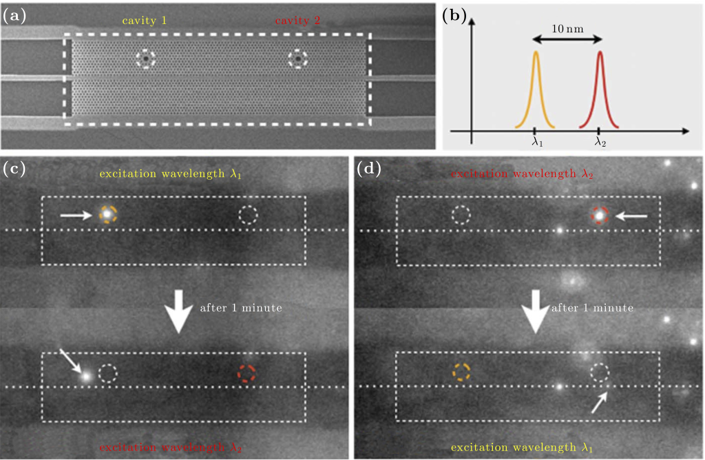 Figure 16.5 — Selective optical trapping with a photonic crystal cavity ...