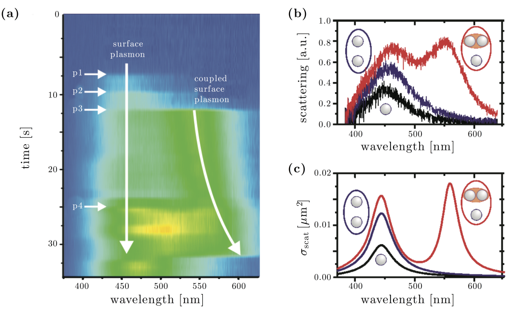 Figure 22.3 — Trapping of plasmonic nanoparticles — Optical Tweezers Principles and Applications