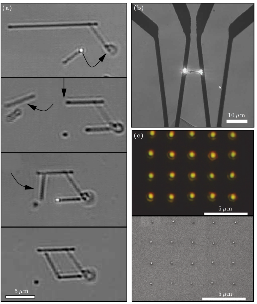 Figure 23.4 — Optical force lithography — Optical Tweezers Principles