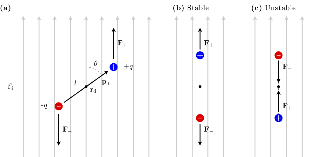 Figure 3.2 — Electric dipole in an electrostatic field — Optical