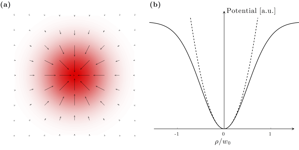Figure 3.8 — Gradient force — Optical Tweezers Principles and Applications