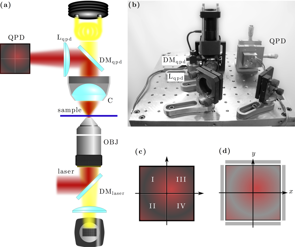 Figure 9.5 — Interferometric position detection setup — Optical
